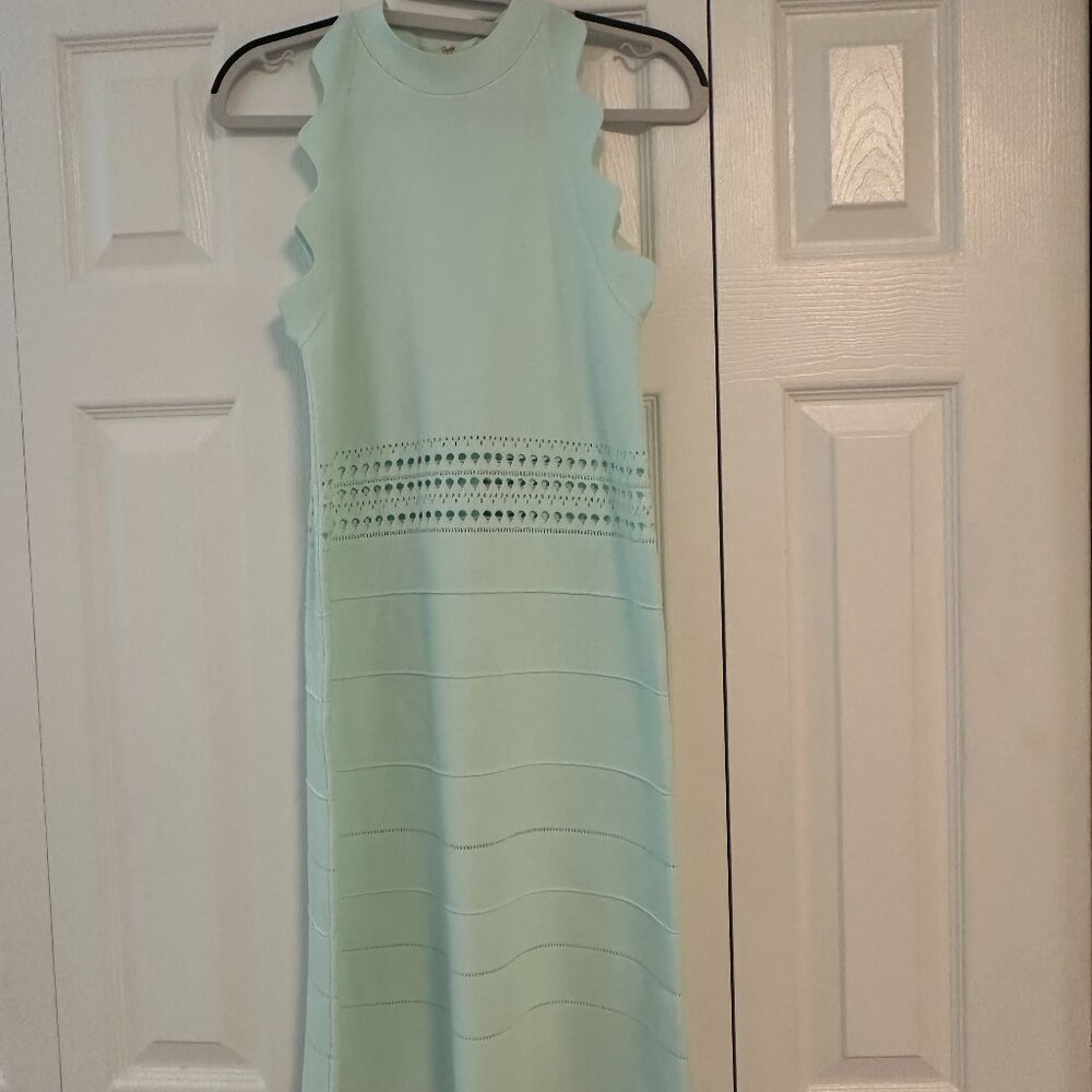 Ted Baker Sleeveless Scalloped Edge Bandage Dress in Pastel Mint